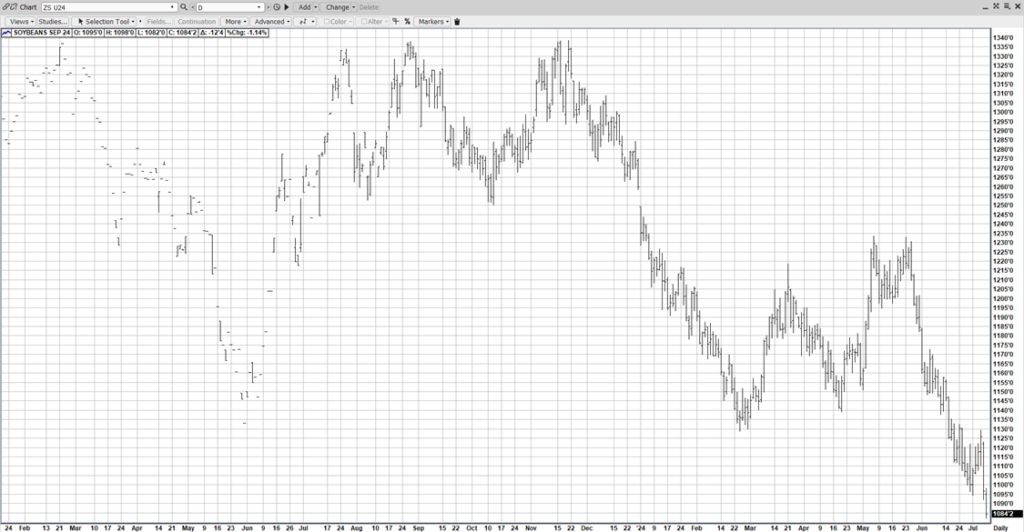 AgMaster Report 07/09/2024 - Market InsightsMarket Insights